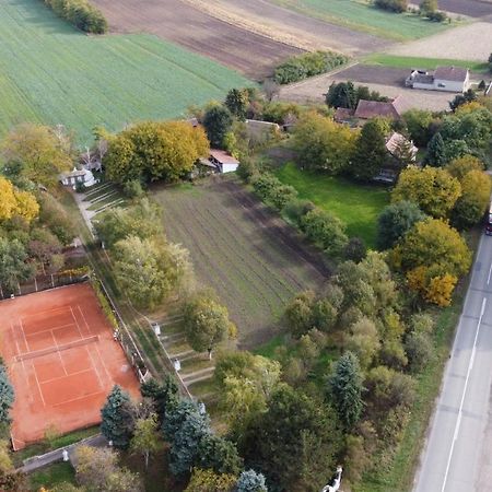 B&B Villa Pipacs Feketić Eksteriør billede
