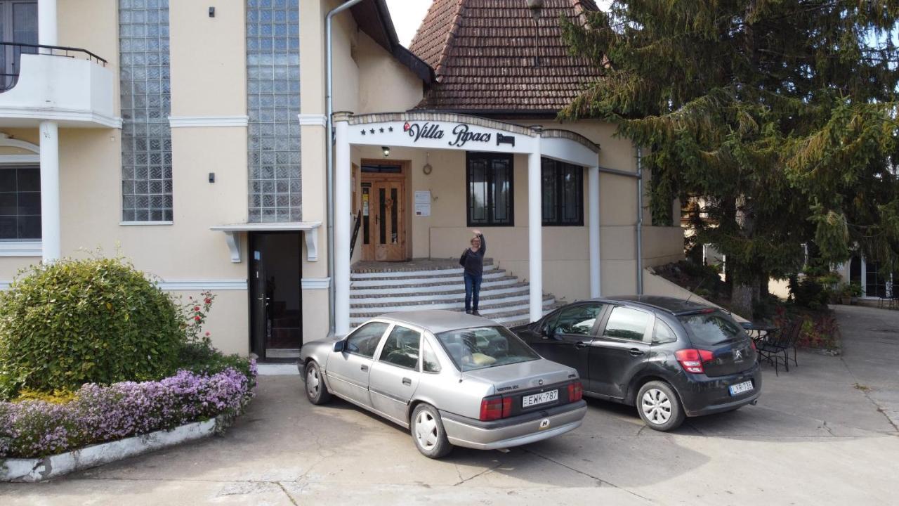 B&B Villa Pipacs Feketić Eksteriør billede