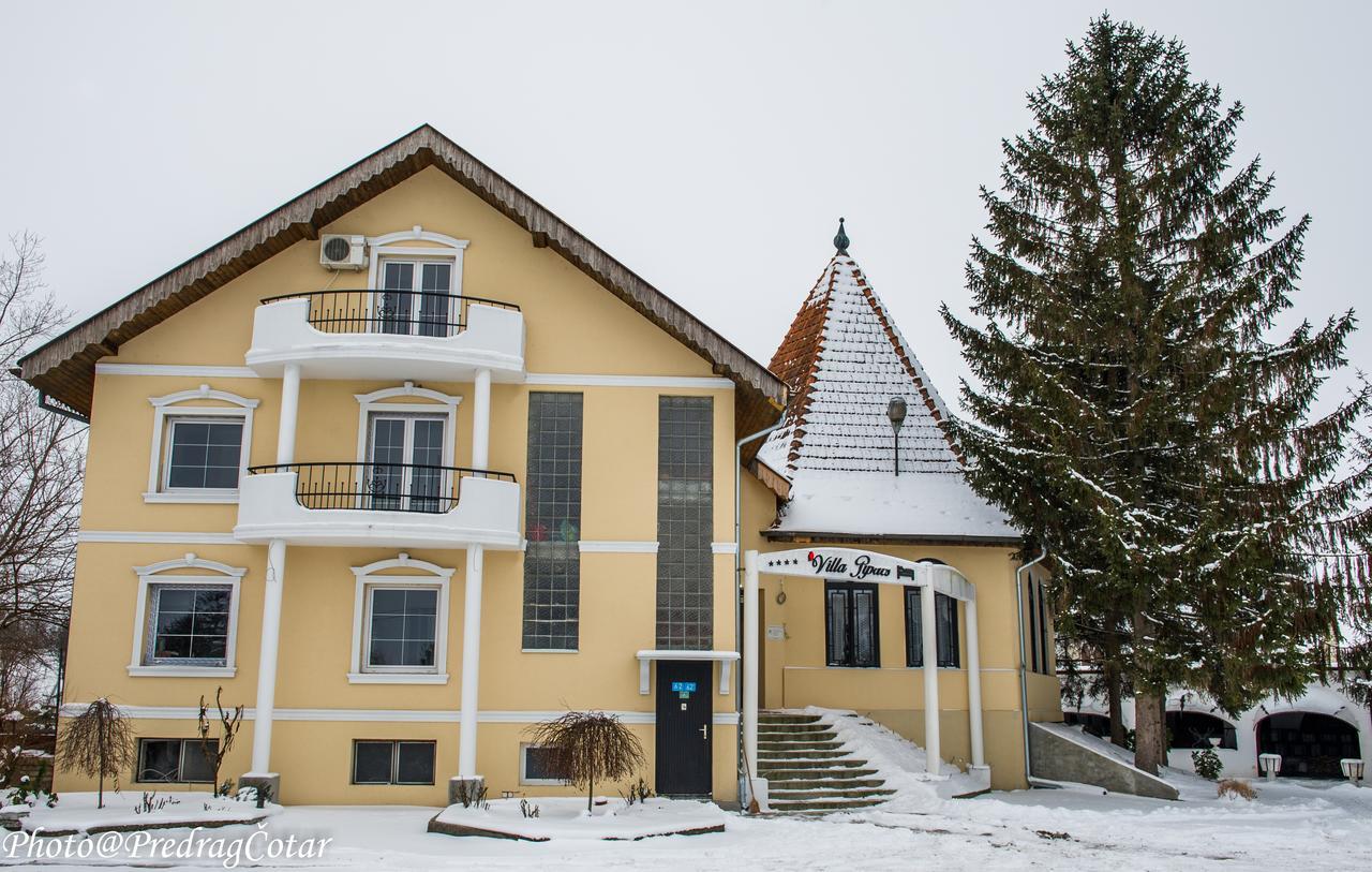 B&B Villa Pipacs Feketić Eksteriør billede